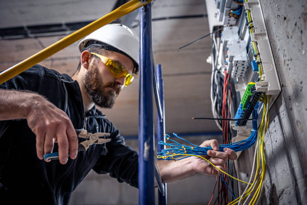 Best Residential Electrician Services  in Alamo, TX
