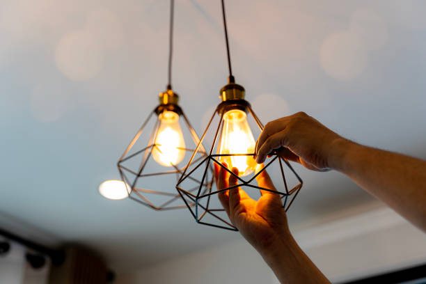 Best Home Electrical Repair  in Alamo, TX