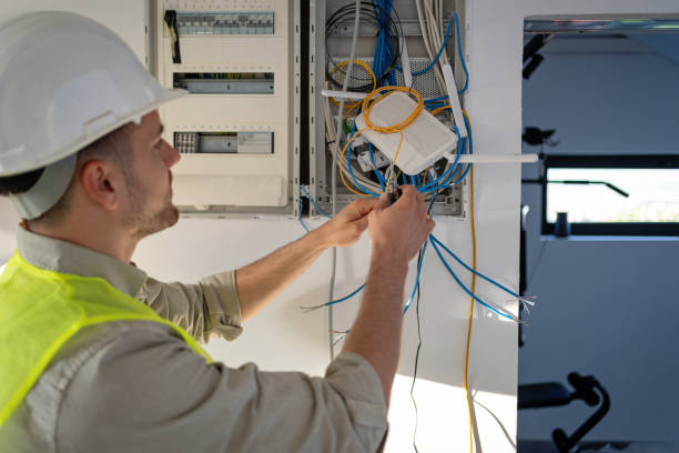 Best Affordable Electrician  in Alamo, TX